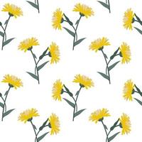 Seamless pattern, yellow echinacea flowers with leaves on a white background. Print, textile, decor for pastel linen, wallpaper
