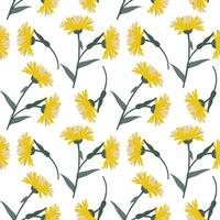 Seamless pattern, yellow echinacea flowers with leaves on a white background. Print, textile, pastel decor, wallpaper vector