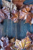fall color leaves border with rustic wood copy space flat lay photo
