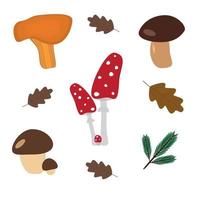 Collection of different edible and poisonous mushrooms vector