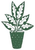 House plant in doodle style. Home flower in pot vector