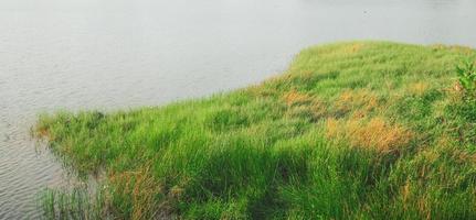 Concept background image on behalf of nature leaves grass photo