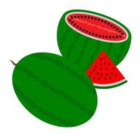 two watermelons one cutaway with a slice on a white background vector