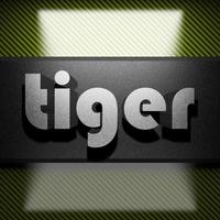 tiger word of iron on carbon photo