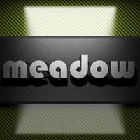 meadow word of iron on carbon photo