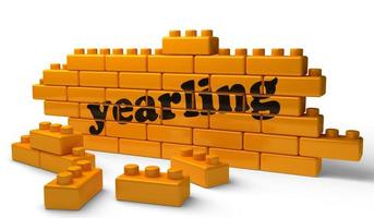 yearling word on yellow brick wall photo