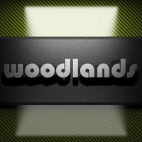 woodlands word of iron on carbon photo