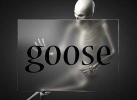 goose word on glass and skeleton photo
