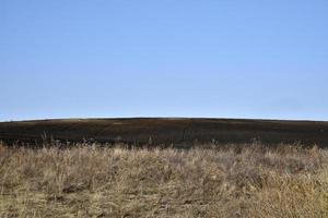 Agricultural arable field in spring and blue sky photo