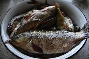 Fresh fish crucian carp and roach in a saucepan photo