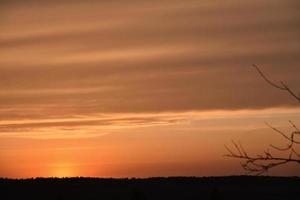 Red and blue evening sunset over the forest photo