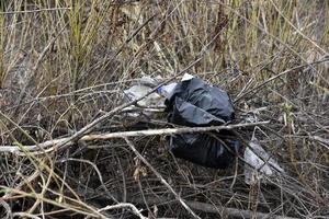 Garbage and household waste on the riverbank from vacationers. Environmental pollution. photo