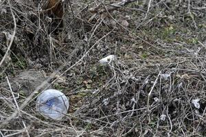 Garbage and household waste on the riverbank from vacationers. Environmental pollution. photo