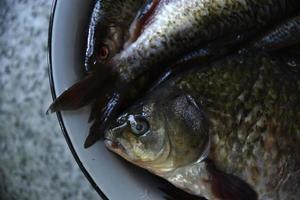 Fresh fish crucian carp and roach in a saucepan photo