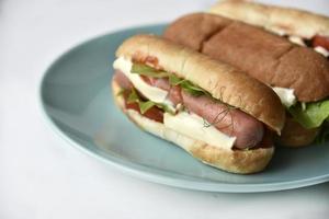 Hot dogs with sausage on a plate photo