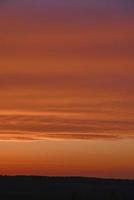 Red and blue evening sunset over the forest photo