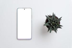 Phone and plant on gray surface. Isolated screen for app design promotion mockup. Top view, flat lay photo