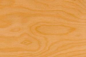 background of Birch wood surface photo