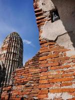 paloma negra en el agujero de las antiguas ruinas de ladrillo rojo del sitio patrimonial de ayutthaya, tailandia