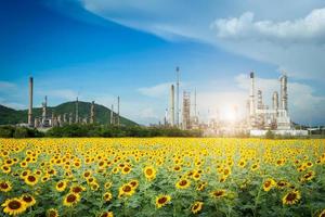 Oil Refinery factory in the morning,petrochemical plant,Petroleum. photo