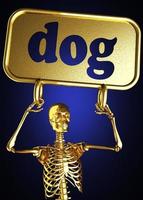 dog word and golden skeleton photo