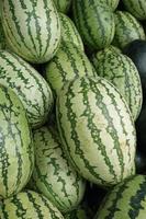 displaying many fresh water melon