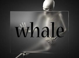 palabra de ballena en vidrio y esqueleto foto