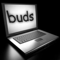 buds word on laptop photo