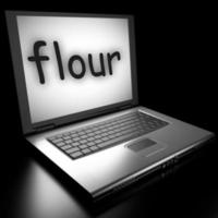 flour word on laptop photo