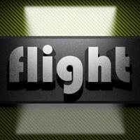 flight word of iron on carbon photo