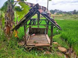 un pequeño edificio en el arroz, un lugar para el descanso de los granjeros en indonesia foto