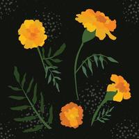 Beautiful Elegant Flat Carnation Flower vector