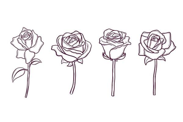 set of hand drawn rose flowers