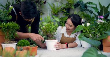 porträt eines glücklichen jungen asiatischen paargärtners, der einen löffel auf der pflanze im garten verwendet. hausgrün, hobby- und lifestyle-konzept. video