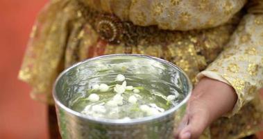 close-up tiro, mão feminina colocar flores de jasmim na água na tigela, preparar fragrância de água antes de derramá-lo para fazer um desejo de pessoas idosas no festival songkran