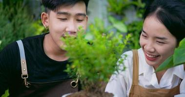 Close up portrait of Happy young Asian couple gardener using a spoon on the plant in the garden. Home greenery, hobby and lifestyle concept. video