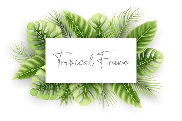 Natural frame with realistic tropical leaves