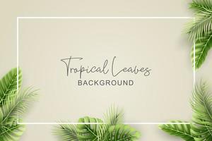 Summer background with realistic tropical leaves vector