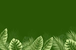 Summer background with realistic tropical leaves vector