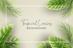 Summer background with realistic tropical leaves vector