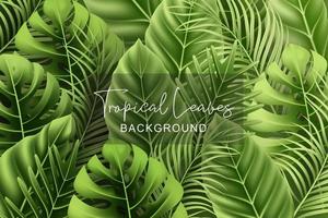 Summer background with realistic tropical leaves vector