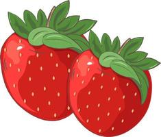 illustration of a strawberry vector