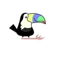 Vector illustration of a cute toucan on a branch. Cute and childish toucan character isolated on a white background. suitable for children's book covers and learning to draw.