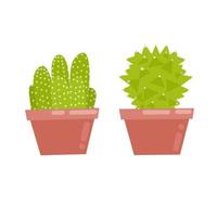 Vector illustration of a cactus plant in a pot. two types of cactus plant with flat design style. Perfect for book covers, stickers, and logo or poster design backgrounds.