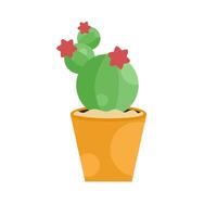 Vector graphics illustration of a cactus flower in a pot. Cartoon cactus plant. With a white background. Perfect for stickers, home decor, children's book covers and web logos.