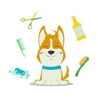 Dog grooming with corgi and grooming equipment. vector