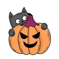 Cute gray cat with pumpkin for Halloween. Doodle style illustration vector