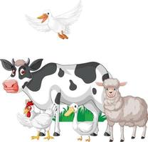 Many farm animals on white background vector