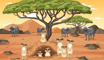 Dryland forest landscape with animals vector