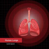 órgano interno humano con pulmones vector